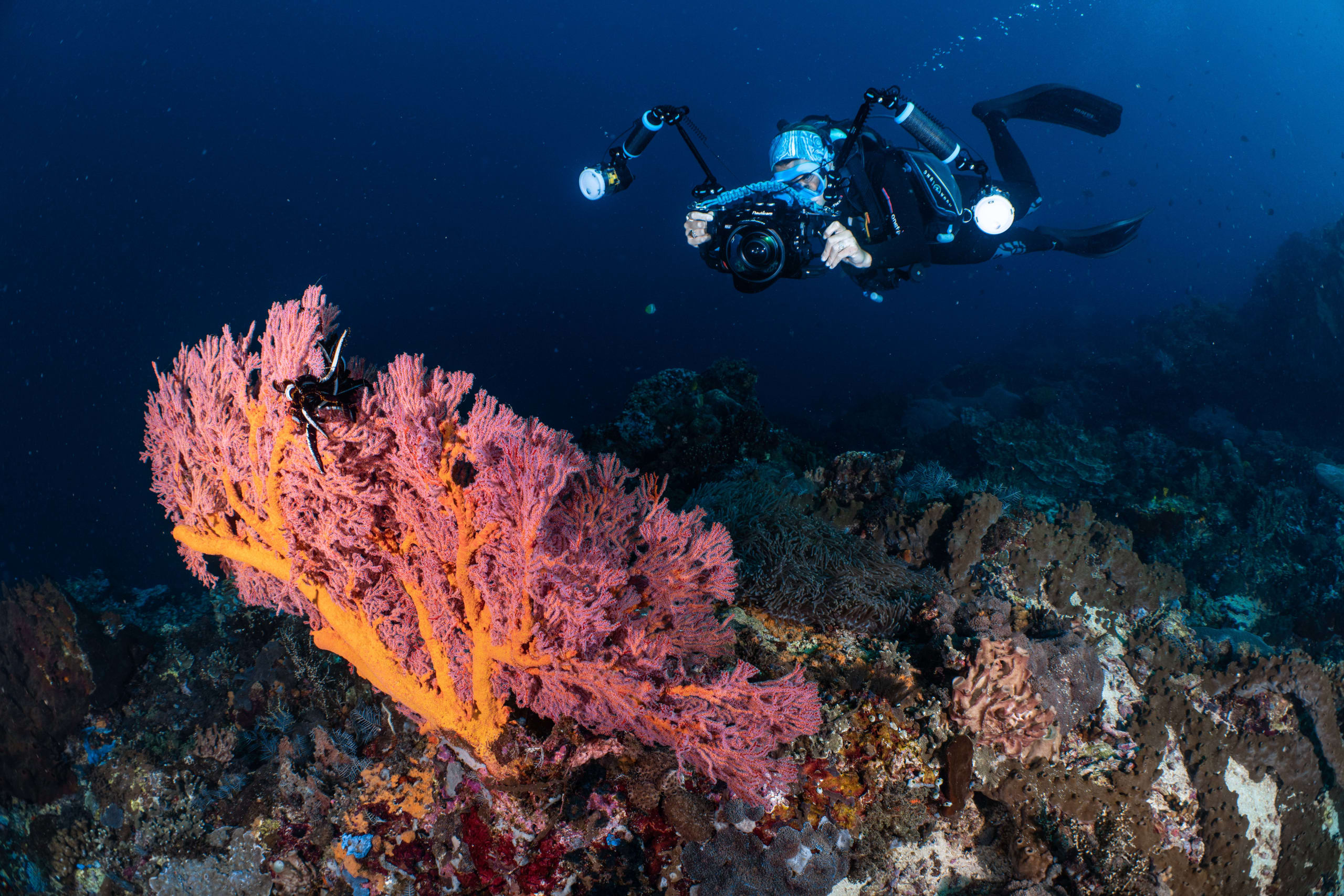Underwater photo and video Nusa Penida